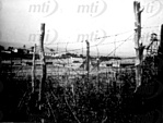 Korabeli felvétel (MTI fotó) Korabeli felvétel (MTI fotó)