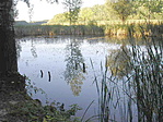 Kis-tó