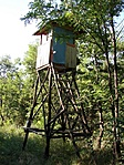 Vadászles Vadászles