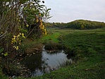 Forrás Forrás