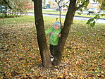 525. rejtés (anettnori) 525. rejtés (anettnori)