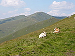 Alpesi idill Alpesi idill