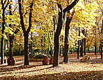A templom-park őszi pompájában A templom-park őszi pompájában