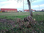 Hetes lakópark... Hetes lakópark...