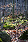 Első pont felé Első pont felé