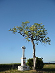 Szomor-Gyermely közti kereszt Szomor-Gyermely közti kereszt