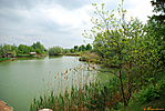 Fertőszéplak, Bánya-tó Fertőszéplak, Bánya-tó
