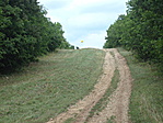 Kilátópont Kilátópont