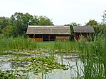 Nádi iskola a tóval