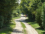 Gesztenyés-hegy Gesztenyés-hegy