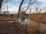 1109. Vámosszabadi, Patakpart 1109. Vámosszabadi, Patakpart