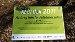 Az év fája 2011 Az év fája 2011