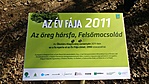 Az év fája 2011