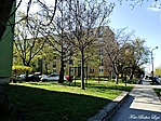 1185. Szfvár, Liget sor 1185. Szfvár, Liget sor