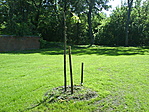 Kemény Henrik nyughelye Kemény Henrik nyughelye