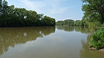 Szamos folyó nyáron