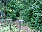 317.Csertalakos titka 317.Csertalakos titka