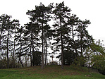 Győr-Ménfőcsanak Győr-Ménfőcsanak
