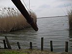 Hortobágyi halastavak 2013.04.01 Hortobágyi halastavak 2013.04.01
