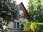 Zolee@ Bokrok között Zolee@ Bokrok között