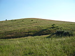 GCORZO (Ládák őrzője) GCORZO (Ládák őrzője)