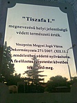 Veszprém, 200 éves tiszafa Veszprém, 200 éves tiszafa