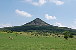 Gulács Gulács