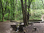 A Kinizsi-forrás A Kinizsi-forrás