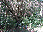 Biciklivel is elérhető Biciklivel is elérhető
