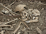 350. Sabari templomrom 350. Sabari templomrom