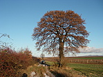 60. Nagyréde 60. Nagyréde