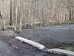 Király-kúti tavacska Király-kúti tavacska
