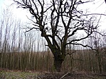 69. állomás - Felsőpere 69. állomás - Felsőpere