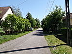 Kiskundorozsma, Tas u. Kiskundorozsma, Tas u.