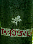 Tanösvény jele Tanösvény jele