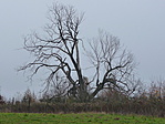 88. állomás - Bakony, Rák-tanya 88. állomás - Bakony, Rák-tanya