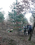A pécsi angyalkák A pécsi angyalkák