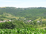 GCBUGY (Bugyizló) GCBUGY (Bugyizló)