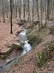 Északon - vadvíz Északon - vadvíz