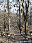 A völgyben A völgyben