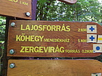 Zergevirág-forrás felé... Zergevirág-forrás felé...