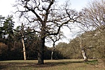 119. Tekeres-völgy 119. Tekeres-völgy