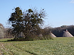 156. állomás: Szent Pál-sziget 156. állomás: Szent Pál-sziget