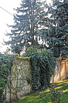 Békéscsaba Zegzug utca Békéscsaba Zegzug utca