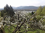 Verőce-Felvég - tavaszi kilátás Verőce-Felvég - tavaszi kilátás