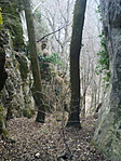 A 4. szint A 4. szint