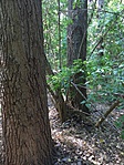IMG_9082 IMG_9082
