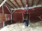 Rodeo Rodeo