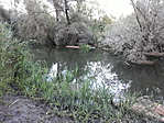 Kiskőrös-Erdőtelek-DVCS Kiskőrös-Erdőtelek-DVCS