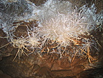 Aragonit a barlangban Aragonit a barlangban